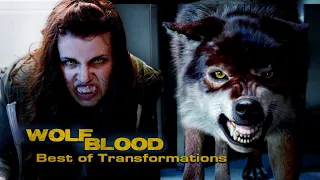 Best of Transformations 3.0 🐺❤ | Special | Wolfblood