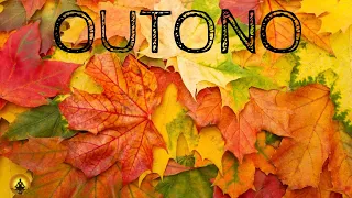 Musica Para Dormir e Relaxar🎵Outono🍂Autumn🍁Otoño🎶Som de Piano