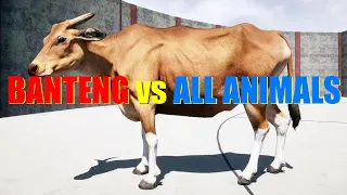 Far Cry 5 Arcade - Animal Fight: Banteng vs All Animals Battles