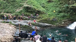 girls let go of themselves. Pretty girl swimming in bikini