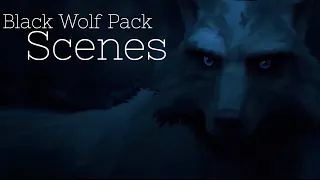 WHITE FANG (2018) - Black Wolf Pack Scenes