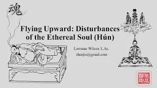 Flying Upward: Disturbances of the Ethereal Soul (Hun)