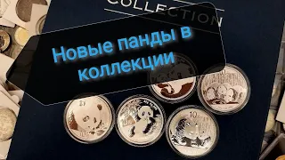 Пополнение коллекции серебряных монет! Панды Китая!