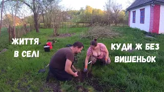 Життя в селі | Весняна посадка | Дерева та кущі зачекались|