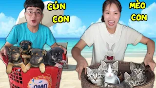 THẮNG TÊ TÊ HẰNG NGA NHẬN NUÔI RẤT NHIỀU EM PET MỚI CÚN CON VÀ MÈO CON