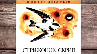 Астафьев В. - Стрижонок Скрип - ЧИТАЕМ ВМЕСТЕ