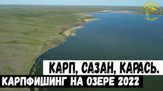 КАРПфишинг на озере 2022 (карп, сазан, карась)