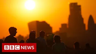 Catastrophic climate change outcomes like human extinction ‘not being taken seriously' - BBC News