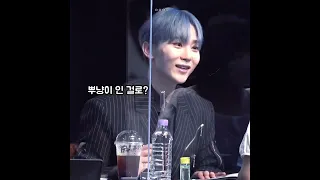 승관이 곰돌파 뿌냥파