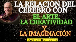 🧠La Imaginación , la creatividad, la neuroplasticidad y EL CEREBRO-Javier de Felipe, neurocientífico