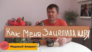 Медовый Амарант  Как меня зацепила эта идея