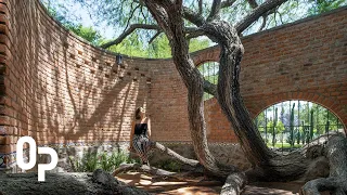 Ancient Tree Steals The Show In This House | Ep 02 OPEN PLAN | House Tour