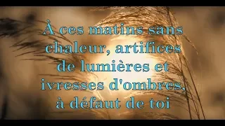 Your Favorite Enemies - À ces matins sans âme (Paroles) [HQ]