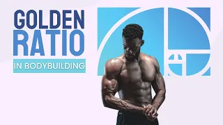 The Golden Ratio Bodybuilding System: A Comprehensive Guide