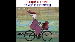 Какая пара вам понравилась больше всего ? ☺️ #shorts #долматинцы