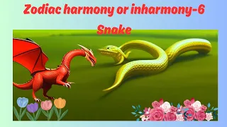 Zodiac harmony or inharmony-6 Snake