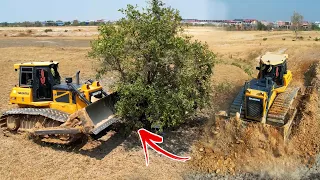 Amazing Activity Starting Showing Building, Skills Operator Dozers Pushing Stone & push Forestry