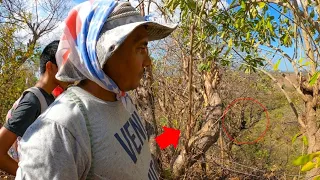 Primer "DUENDE REAL" Visto En El Salvador