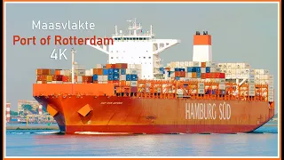 Big Ships at Maasvlakte Rotterdam Port - Ship Spotting 4K