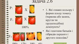 розв’язування типових задач з генетики