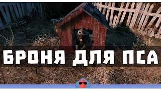 Fallout 4 - Где найти броню для пса?