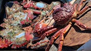 GIANT KING CRAB CATCH CLEAN COOK the best king crab yet