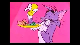 Tom And Jerry English Episodes - Love Me, Love My Mouse - Cartoons For Kids