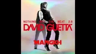 David Guetta - She Wolf [HQ]