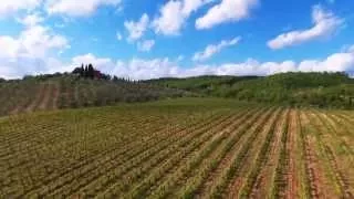 Agriturismo "Il Civettaio" - Maremma, Toscana