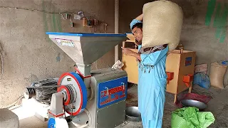flour mill with rice machine 20 hp motor