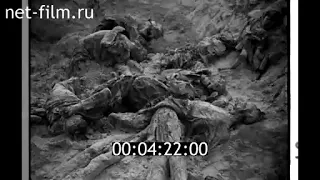 Союзкиножурнал 1943 Освобождение Брянска