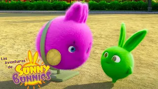 MARATÓN TEMPORADA 2 | Las Aventuras de Sunny Bunnies | Dibujos para niños