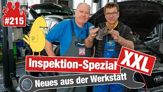 Ein Vogel im Kia!! 😳 Inspektion-Spezial XXL - DAS gehört alles zu einer guten Wartung!