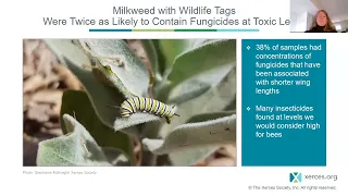 Leveraging our Power as Plant Buyers to Get Pollinator-Safe Plants