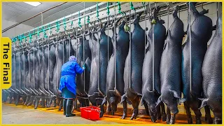 How the Chinese Smoked All Herd of Pigs to Make 20 Million Dollars | Food Processing Machines