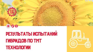 🌻Результаты испытаний гибридов по TMT технологии