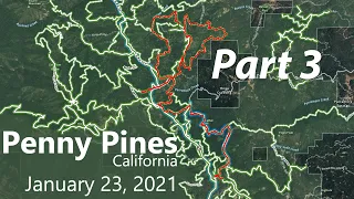 Penny Pines - Jan. 23, 2021 - Part 3