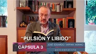 Cápsula 3: Pulsión y libido - José Eduardo Tappan