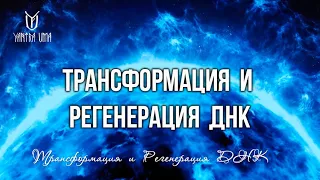 Регенерация И Восстановление ДНК, Трансформация, Частоты Вознесения 528 Гц, Сольфеджио