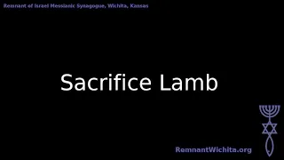 Songs for Passover: Sacrifice Lamb