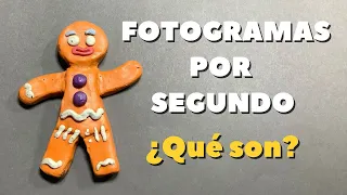 ¿Qué son los fotogramas por Segundo? - Mi mundo de Animación