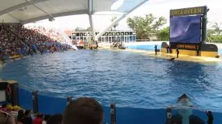 Loro Parque Orca Ocean Show Video Part 2 Tenerife 2014