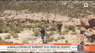 La batalla contra los "burreros" en medio del desierto
