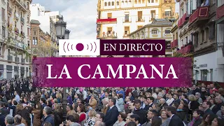 Semana Santa Sevilla 2023 | Procesiones del Martes Santo en Campana