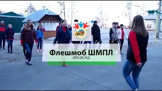 Флешмоб ШМПЛ ИРО 2018 Утро Зарядка
