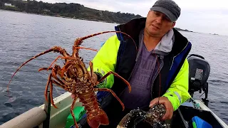 A Great Surprise This Day Crab Lobster & Crayfish / Hauling Pots From The Deep Sea 2023
