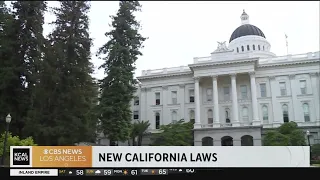 Slew of new California laws set to go into effect in 2024