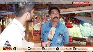 'എല്ലാം പോയി, ദേ ചത്തുകിടക്കുന്നത് കണ്ടില്ലേ'; മഴവെള്ളത്തിൽ പൊലിഞ്ഞത് ഒരു കർഷകന്റെ സ്വപ്നങ്ങൾ