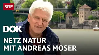 Die letzte Folge NETZ NATUR mit Andreas Moser | DOK | SRF