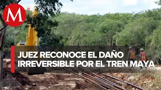 Suspensión de tramo 5 del Tren Maya, válida hasta evaluación de impacto ambiental